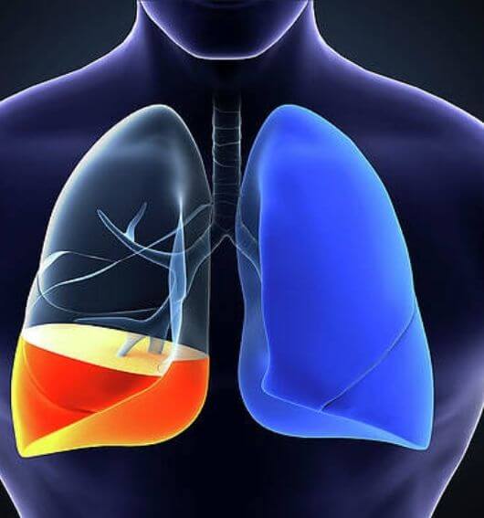 periodontics